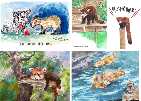 图片
